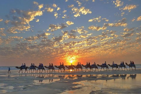 Broome City Sightseeing Tour With Optional Camel Ride - Foster Accommodation 1