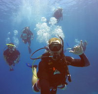 12-Day Great Barrier Reef Marine Conservation Program from Cairns - Foster Accommodation