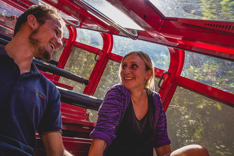 Blue Mountains Hop-on Hop-off Tour With Optional Scenic World Rides - Foster Accommodation 5