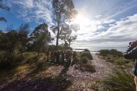 Bruny Island Day Tour, Includes Lunch And Exclusive Lighthouse Tour - Foster Accommodation 5