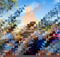 Litchfield National Park Waterfalls and Wildlife Tour from Darwin - Foster Accommodation