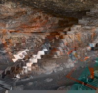 Kakadu National Park Wildlife and Ubirr Rock Art Tour from Darwin City - Foster Accommodation