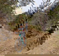Mount Lofty Descent Bike Tour from Adelaide - Foster Accommodation