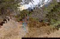 Mount Lofty Descent Bike Tour from Adelaide