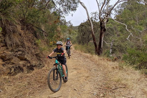 Mount Lofty Descent Bike Tour From Adelaide - Foster Accommodation 0