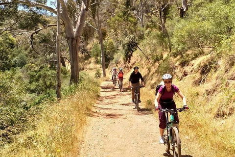 Mount Lofty Descent Bike Tour From Adelaide - Foster Accommodation 3