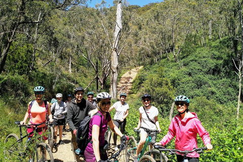 Mount Lofty Descent Bike Tour From Adelaide - Foster Accommodation 5