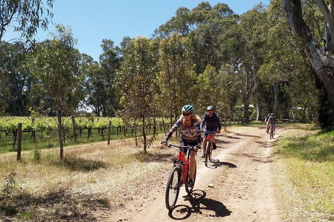McLaren Vale Wine Tour By Bike - Foster Accommodation 1