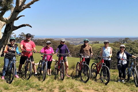 McLaren Vale Wine Tour By Bike - Foster Accommodation 2