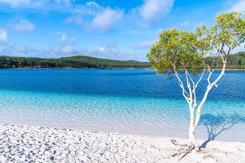 Lake McKenzie Full-Day Tour With Lunch From Hervey Bay - Foster Accommodation 1
