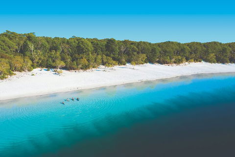 Lake McKenzie Full-Day Tour With Lunch From Hervey Bay - Foster Accommodation 4
