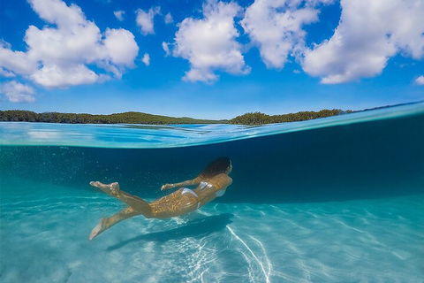 Lake McKenzie Full-Day Tour With Lunch From Hervey Bay - Foster Accommodation 5