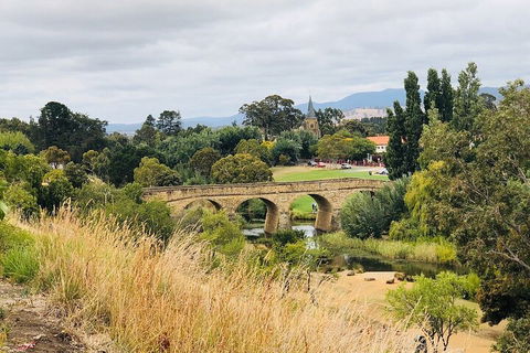 Day Tour In Mt. Field, Mt. Wellington, Bonorong Wildlife Sanctuary And Richmond - Foster Accommodation 3