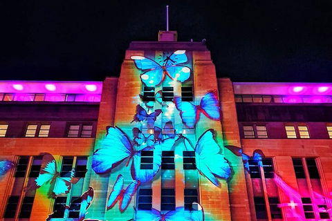 Vivid 90-Minute Sydney Harbour Small Group Catamaran Cruise - Foster Accommodation 0