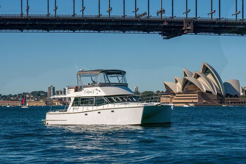 Vivid 90-Minute Sydney Harbour Small Group Catamaran Cruise - Foster Accommodation 2