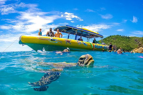 Great Barrier Reef Scenic Flight And Ocean Rafting Whitehaven Beach Day Trip - Foster Accommodation 1