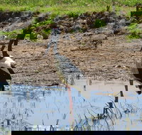 Darwin to Kakadu Day Trip by Air Including Yellow Water Cruise - Foster Accommodation