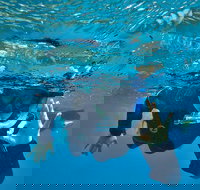 3 Day Whitsundays Sailing and Diving Adventure Kiana - Foster Accommodation