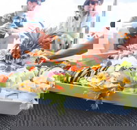 2-Night Whitsundays Sailing Adventure Whitsunday Getaway - Foster Accommodation