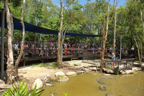 Hartley's Crocodile Adventures Breakfast With The Koalas - Foster Accommodation 1