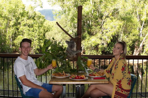 Hartley's Crocodile Adventures Breakfast With The Koalas - Foster Accommodation 5