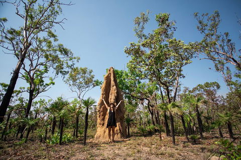 Litchfield National Park - Top End Day Tour From Darwin - Foster Accommodation 5