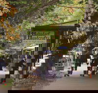 Adelaide Highlights Hahndorf  McLaren Vale Wine Tasting and Sightseeing Tour - Foster Accommodation