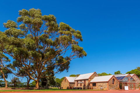 McLaren Vale And Glenelg Wine Tasting And Sightseeing (Half-day Afternoon) - Foster Accommodation 5