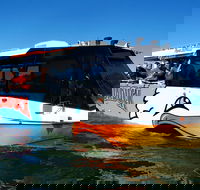Paradise Jet Boating and Aquaduck Combo - Foster Accommodation
