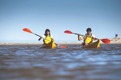 Kangaroo Island Self-Guided Kayaking On The Harriet River - Foster Accommodation 2
