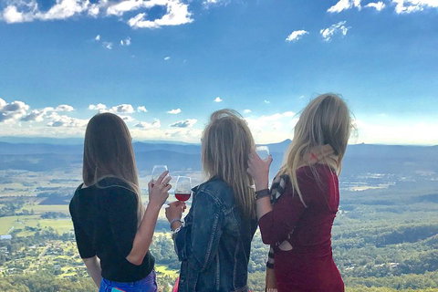 Mount Tamborine Wine Tasting Tour From Brisbane Or The Gold Coast - Foster Accommodation 1