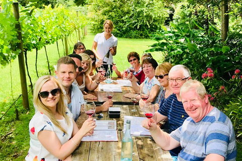 Mount Tamborine Wine Tasting Tour From Brisbane Or The Gold Coast - Foster Accommodation 5