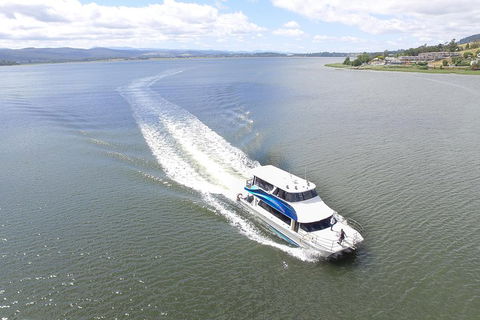 2.5 Hour Morning Discovery Cruise Including Sailing Into The Cataract Gorge - Foster Accommodation 2