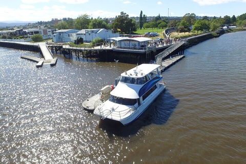 2.5 Hour Morning Discovery Cruise Including Sailing Into The Cataract Gorge - Foster Accommodation 3