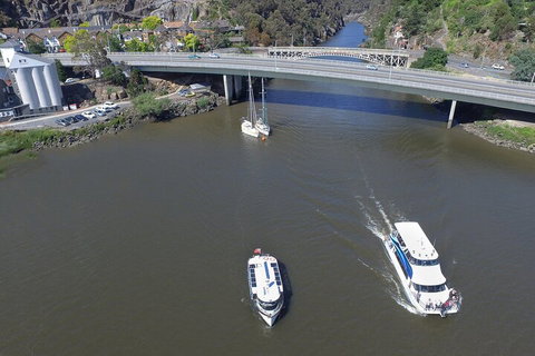 2.50 Hour Afternoon Discovery Cruise Including Cataract Gorge Departing At 3 Pm - Foster Accommodation 3