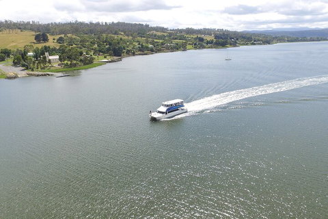 2.50 Hour Afternoon Discovery Cruise Including Cataract Gorge Departing At 3 Pm - Foster Accommodation 4