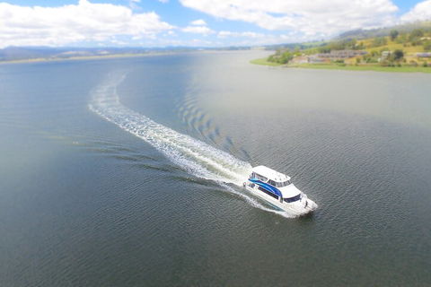 2.5 Hour Afternoon Discovery Cruise Including Cataract Gorge Departs At 1: 30 Pm - Foster Accommodation 0