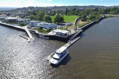 2.5 Hour Afternoon Discovery Cruise Including Cataract Gorge Departs At 1: 30 Pm - Foster Accommodation 3