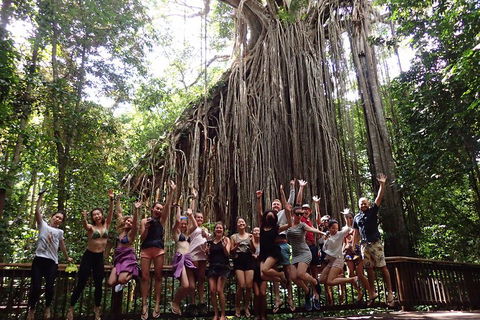 Atherton Tablelands Waterfalls Tour From Cairns - Foster Accommodation 5