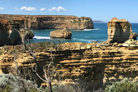 Great Ocean Road Reverse Itinerary Tour - Foster Accommodation 1