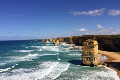 Great Ocean Road Reverse Itinerary Tour - Foster Accommodation 4