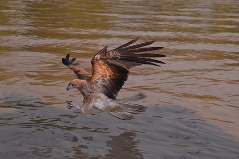 Litchfield And Jumping Crocodiles Full Day Trip From Darwin - Foster Accommodation 0