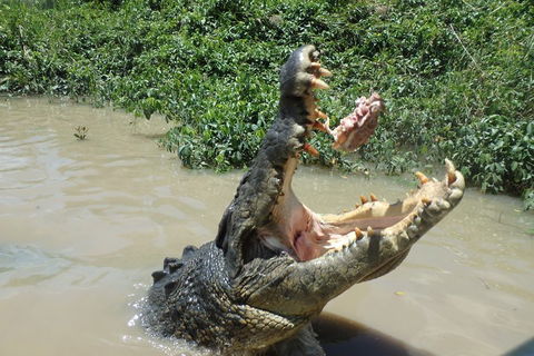 Litchfield And Jumping Crocodiles Full Day Trip From Darwin - Foster Accommodation 3