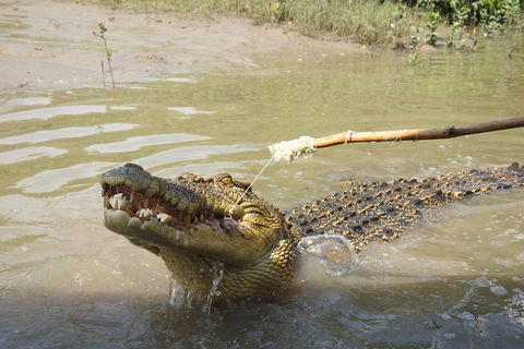 Litchfield And Jumping Crocodiles Full Day Trip From Darwin - Foster Accommodation 4