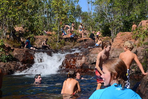Litchfield And Jumping Crocodiles Full Day Trip From Darwin - Foster Accommodation 5
