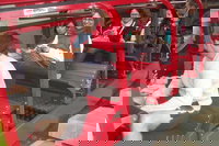 Blue Mountains Private Tour with Wildlife Park and River Cruise, Sydney