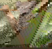 Blue Mountains Private Full-Day Tour from Sydney with Cruise - Foster Accommodation