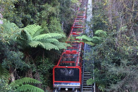 Blue Mountains Private Full-Day Tour From Sydney With Cruise - Foster Accommodation 5