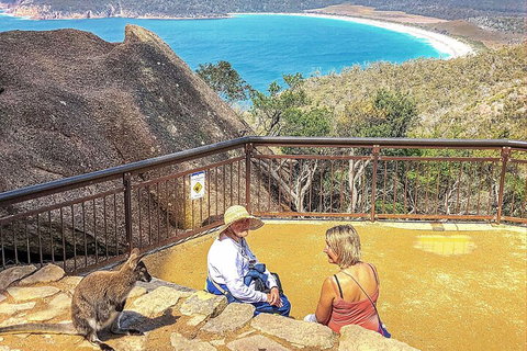 Wineglass Bay & Freycinet NP Full Day Tour From Hobart Via Richmond Village - Foster Accommodation 1