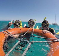 Full-Day Great Barrier Reef Sailing Trip - Foster Accommodation